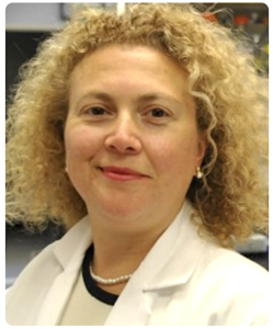 Dr. P. Hande Özdinler