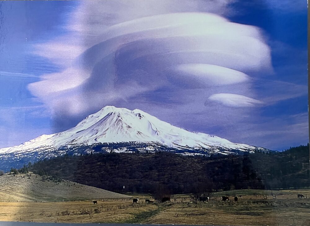 Water Action: #StopGeoengineering by PAULINE CANTWELL