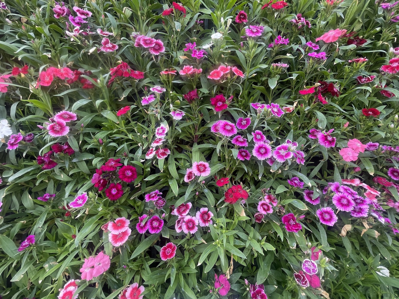 THANK YOU TO ALL for the 2023 Received Donations, Via Zelle